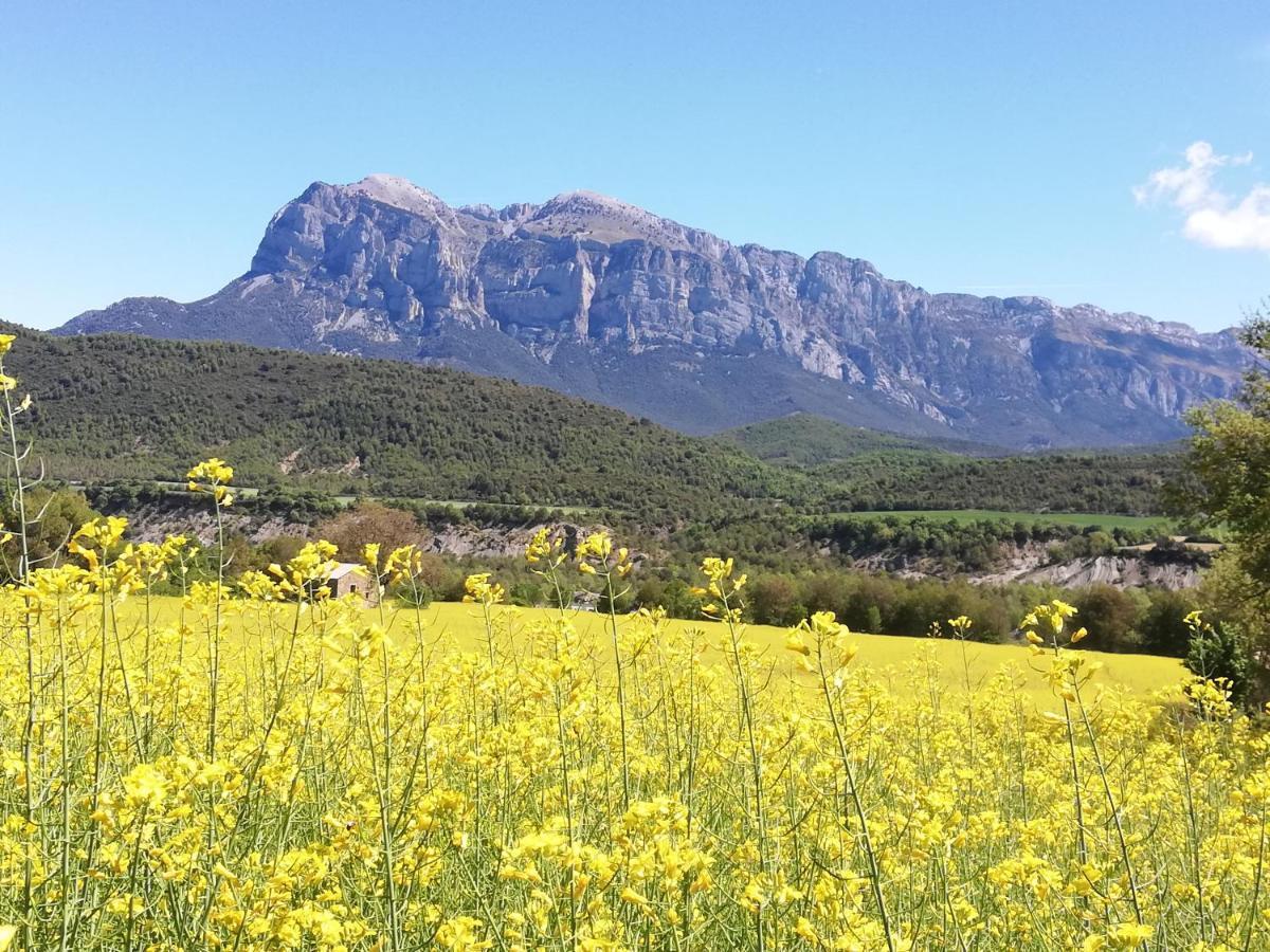 Apartamento El Fenal De Turmo Casa Rural "El Capricho De Nieves" Laspuña Esterno foto