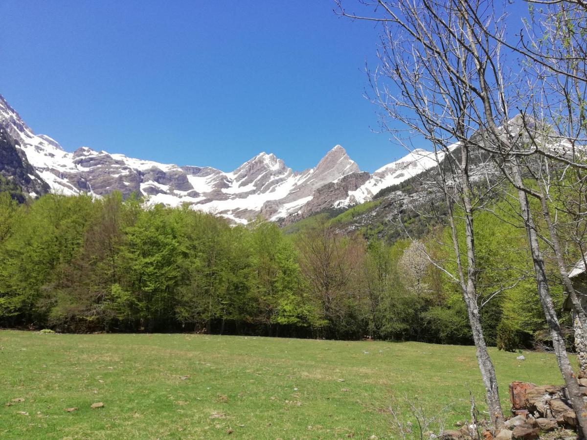 Apartamento El Fenal De Turmo Casa Rural "El Capricho De Nieves" Laspuña Esterno foto